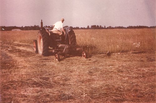 Denham Aerodrome in 1956 with the grass being cut. This often produced over 3,000 bales of cuttings.