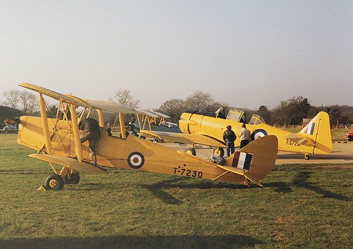 When Richard Parker's collection were out on the grass at Denham they made for an impressive sight.